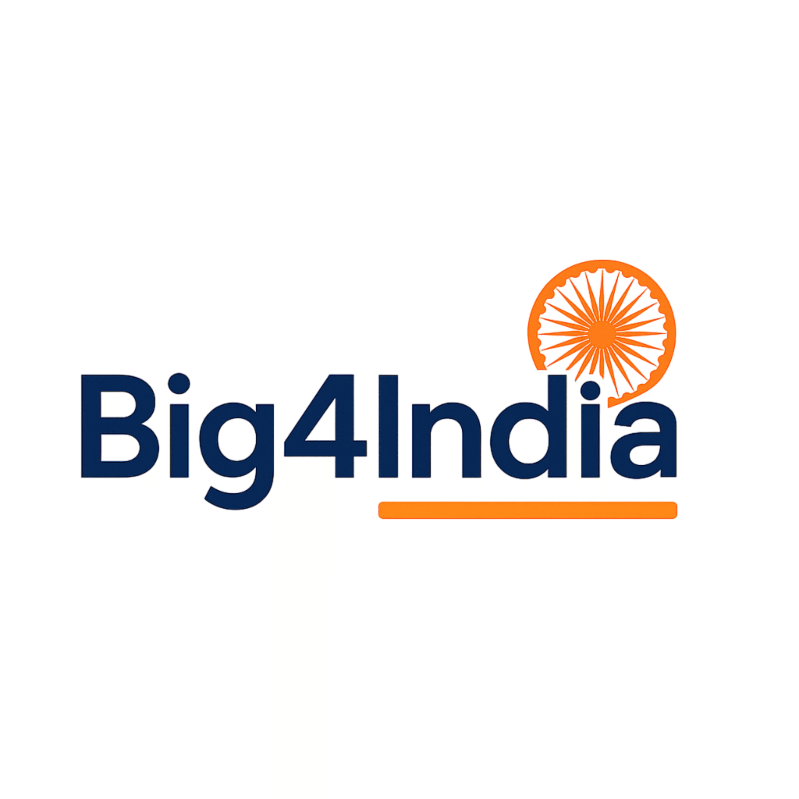 big4india.com